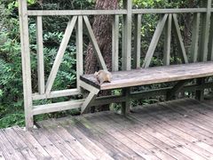 -苍山感通索道
