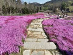 -棒棰岛宾馆景区