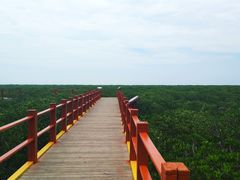 -北海金海湾红树林生态旅游区