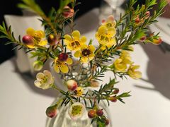 -夏朵花园(复兴西路店)