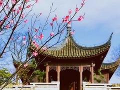 -广富林郊野公园