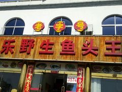 -天乐农家鱼头王(天目湖店)