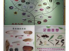 -上海昆虫博物馆