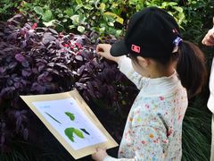 课外活动-美路缘艺术空间