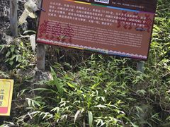 -七仙岭温泉国家森林公园