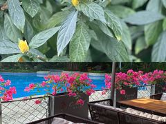 -深圳隐秀山居酒店