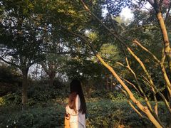 -美丽洲堂