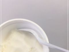 -洪馨椰子