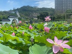 -龙环葡韵住宅式博物馆