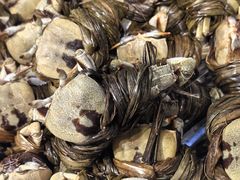 -张家卫·阳江菜·小海鲜(肥婆湾桥店)