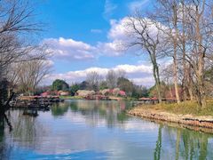 -西溪国家湿地公园