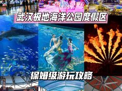-海合安武汉极地海洋公园