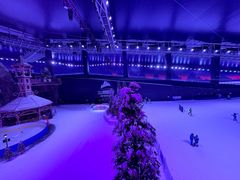 -世界之窗阿尔卑斯冰雪世界