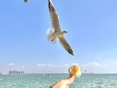 -海埂大坝