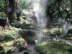 -Chom Cafe and Restaurant