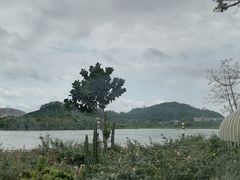 -立新湖公园