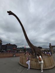 -恐龙探索乐园(磁器口店)