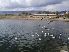 -青海湖国家重点风景名胜区
