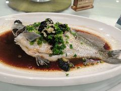 -和乐喜宴海鲜酒家(骏荣广场店)