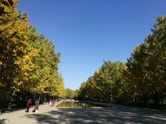 -玲珑塔公园