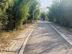 -白鹭湾湿地公园