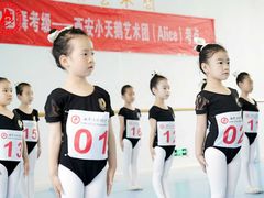 -西安小天鹅艺术团(曲江Alice店)