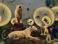 -陕西自然博物馆