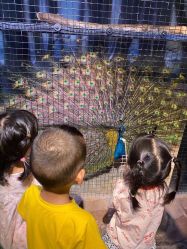 -酷嗒动物文化乐园(cutezoo西溪乐天城店)