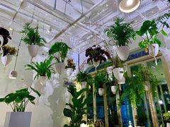 -春树下·树屋花房西餐厅(罍街AS1980店)