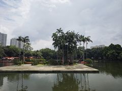 -荔湾湖公园