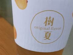 白露茉莉-树夏(鹭洲里店)