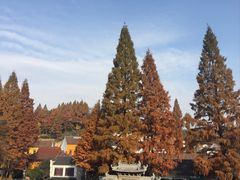 -九华山风景区