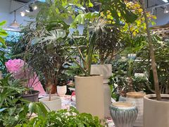 -双季花艺园艺市场(浦东店)