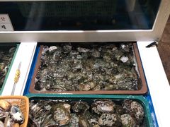 -西归浦每天偶来市场