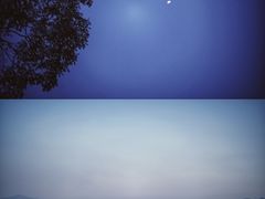 -深圳湾公园(南山区)