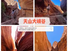 -新疆那拉提国家旅游度假区