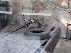 -沈阳鸟岛