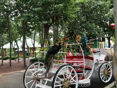 -辛玛王国游乐园