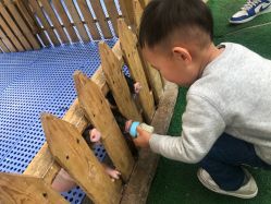 -萌宠亲子动物乐园(槐房万达店)