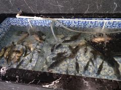-宏顺佰渔庄(松花湖店)