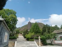 -芍药居北里