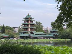 -桂湖森林公园