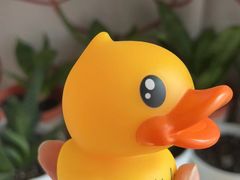 -LINLEE林里·手打柠檬茶(黄浦茂名南路店)