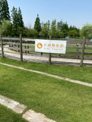 -前小桔亲子创意农场·草莓采摘·露营烧烤