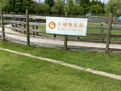 -前小桔亲子创意农场·草莓采摘·露营烧烤