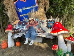 -HERRE·FARM 赫尔露营农场·团建聚会包场