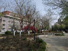 -睦南公园