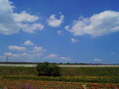 -紫颐香薰山谷景区