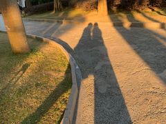 -金砂公园