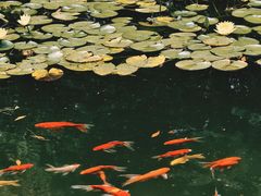 -温江公园
